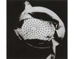 Fotografie