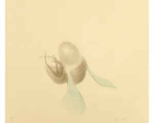 Současné umění - střední generace