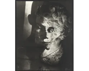 Fotografie